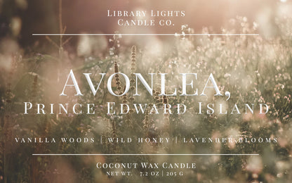 Library Lights 8oz Candles