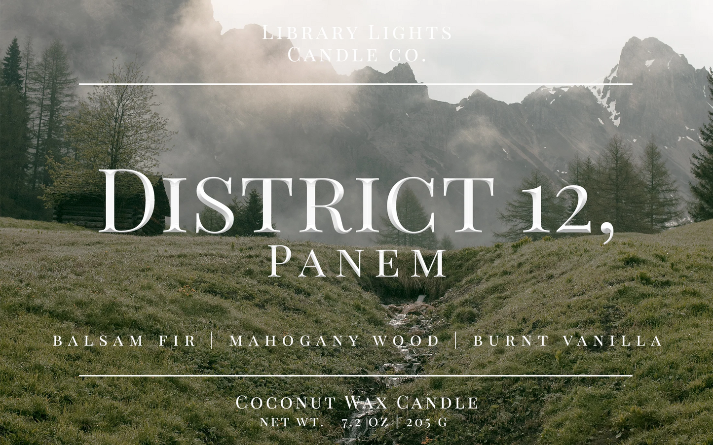 Library Lights 8oz Candles