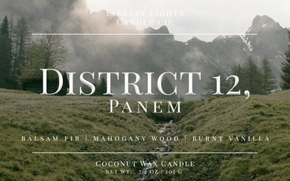 Library Lights 8oz Candles