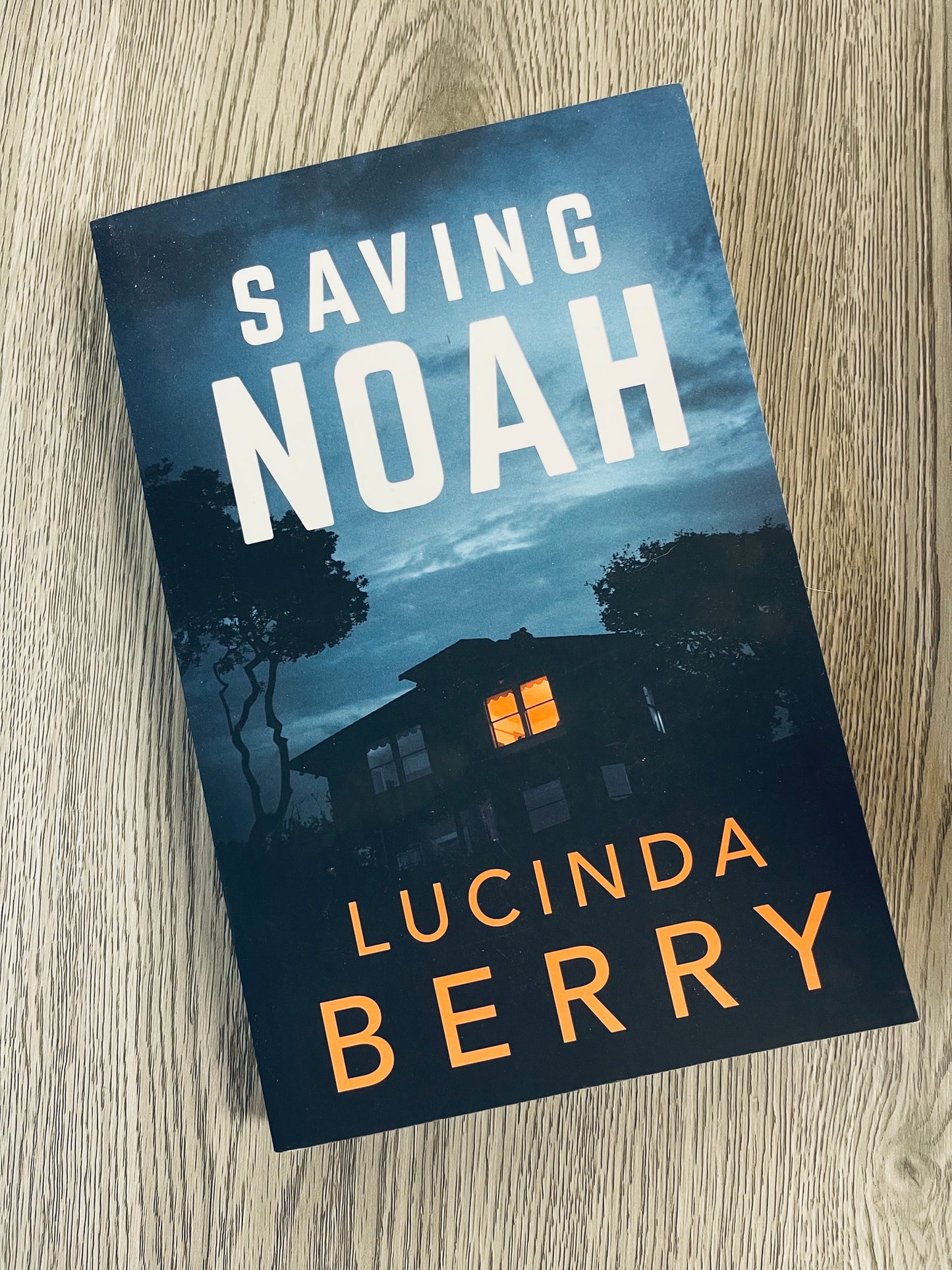 Saving Noah by Lucinda Berry