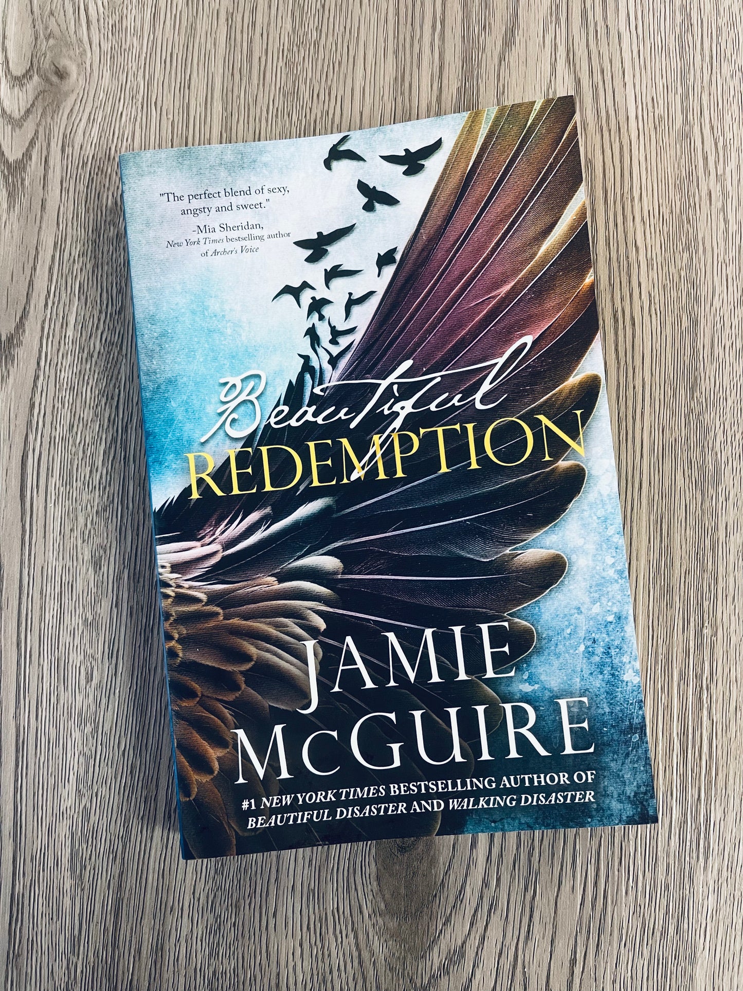 Beautiful Redemption(The Maddox Brothers #2) by Jamie McGuire-Used