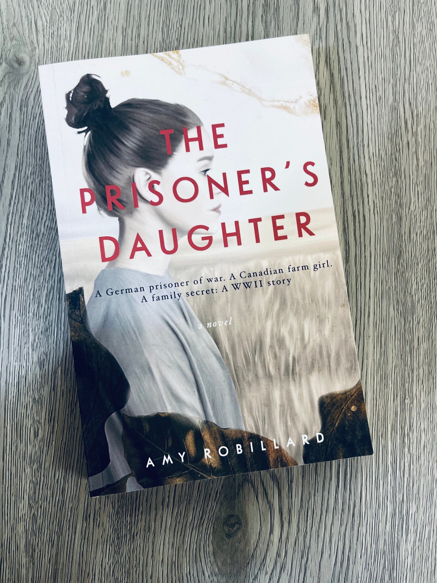 The Prisoner's Daughter: A German prisoner of war. A Canadian farmgirl. A family secret: A WWII story by Amy Robillard