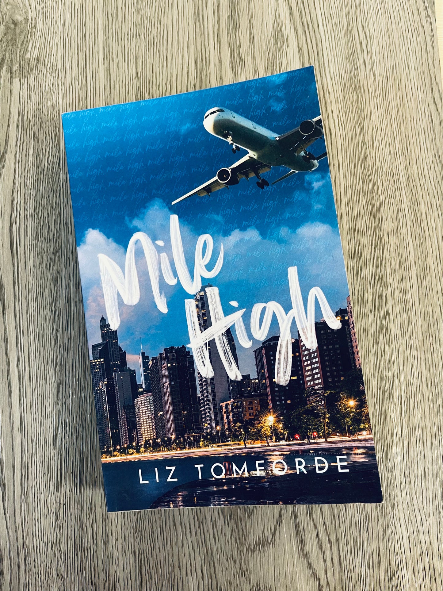 Mile High (Windy City #1) by Liz Tomforde