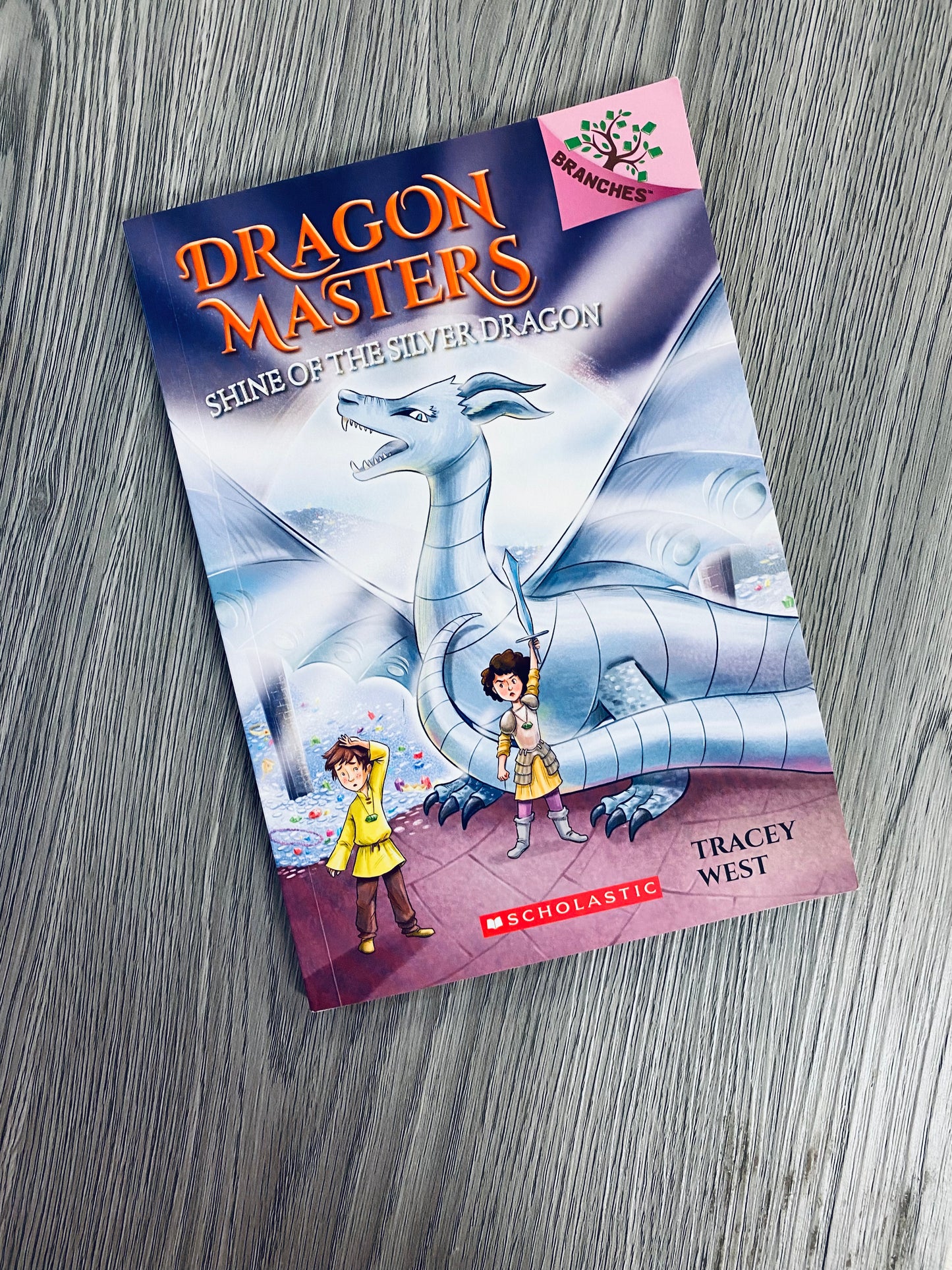 Dragon Masters by Tracey West