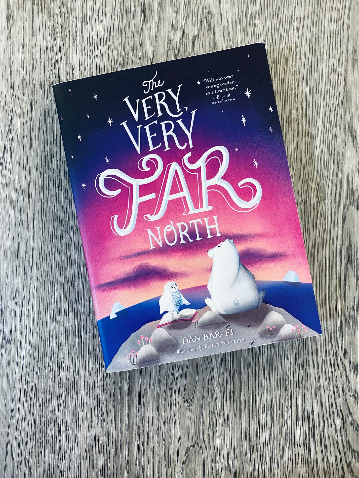 The Very Very Far North by Dan Bar-el