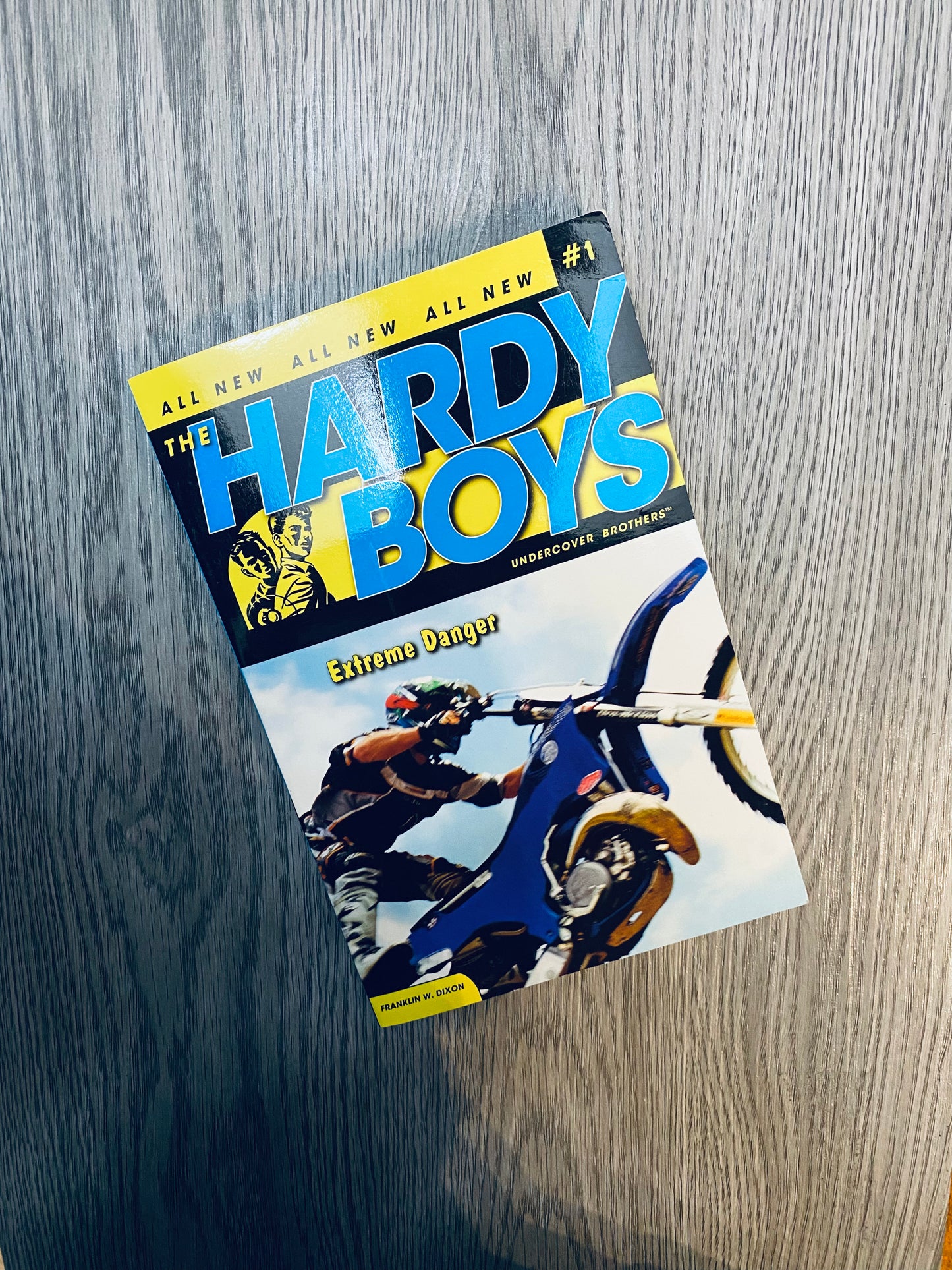 The Hardy Boys: Undercover Brothers by Franklin Dixon