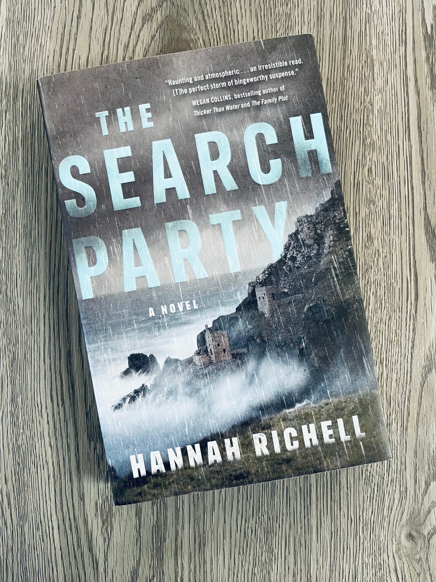 The Search Party by Hannah Richell