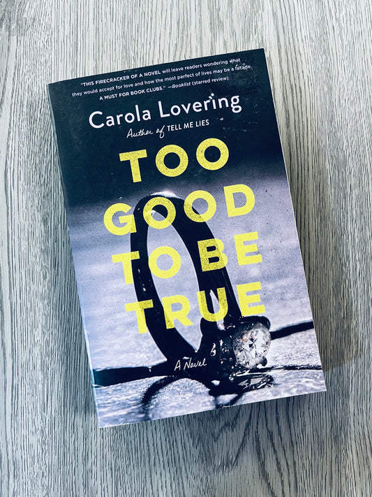 Too Good To Be True by Carola Lovering