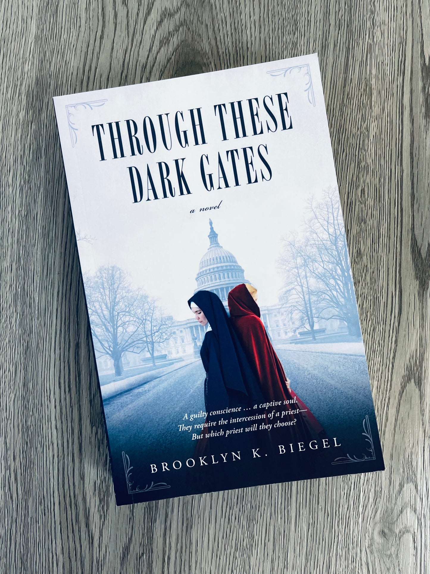 Through These Dark Gates by Brooklyn K. Biegel