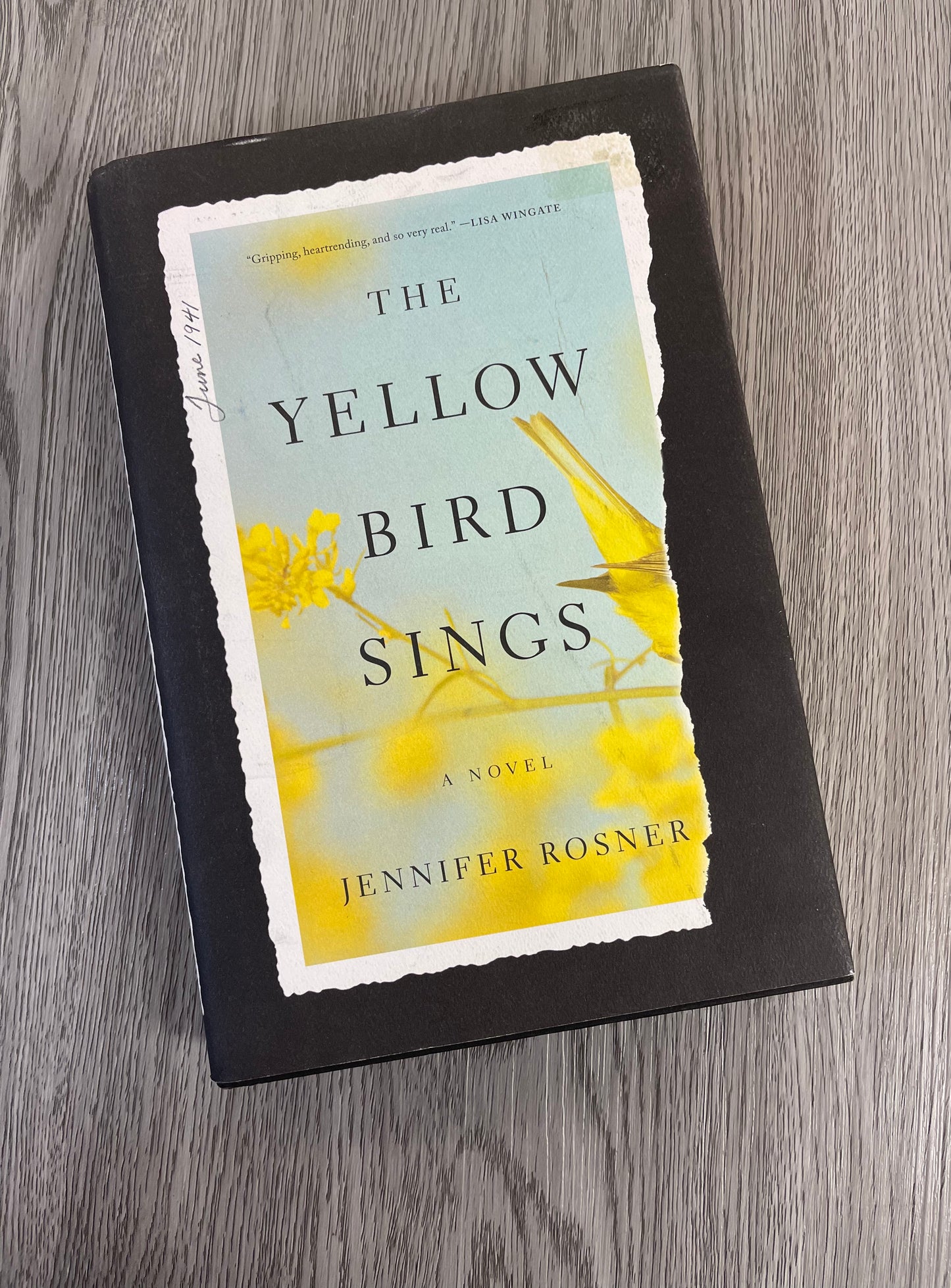 The Yellow Bird Sings by Jennifer Rosner