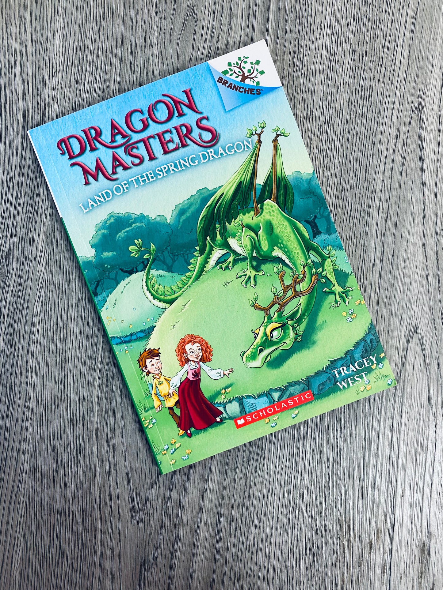 Dragon Masters by Tracey West