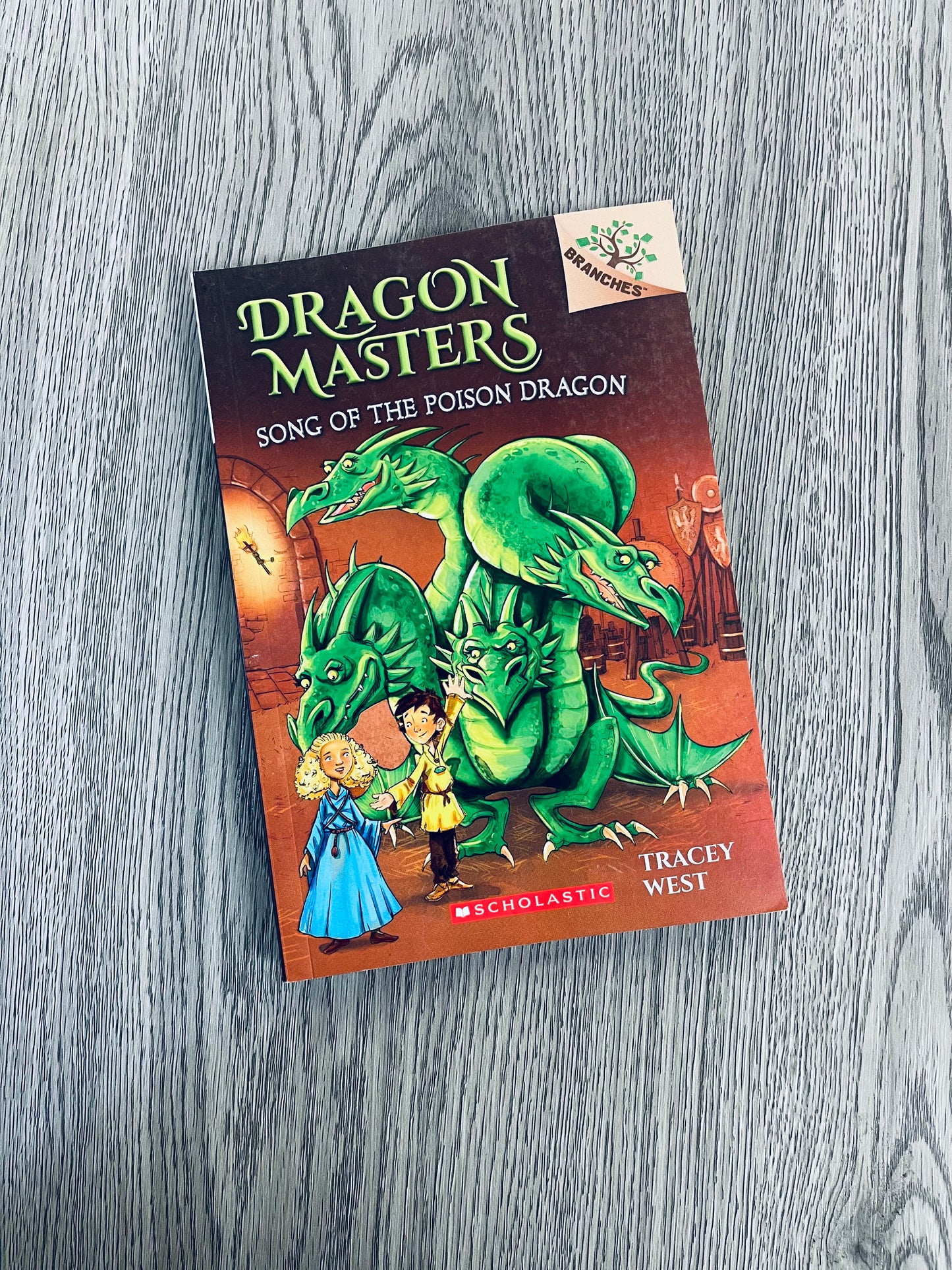 Dragon Masters by Tracey West