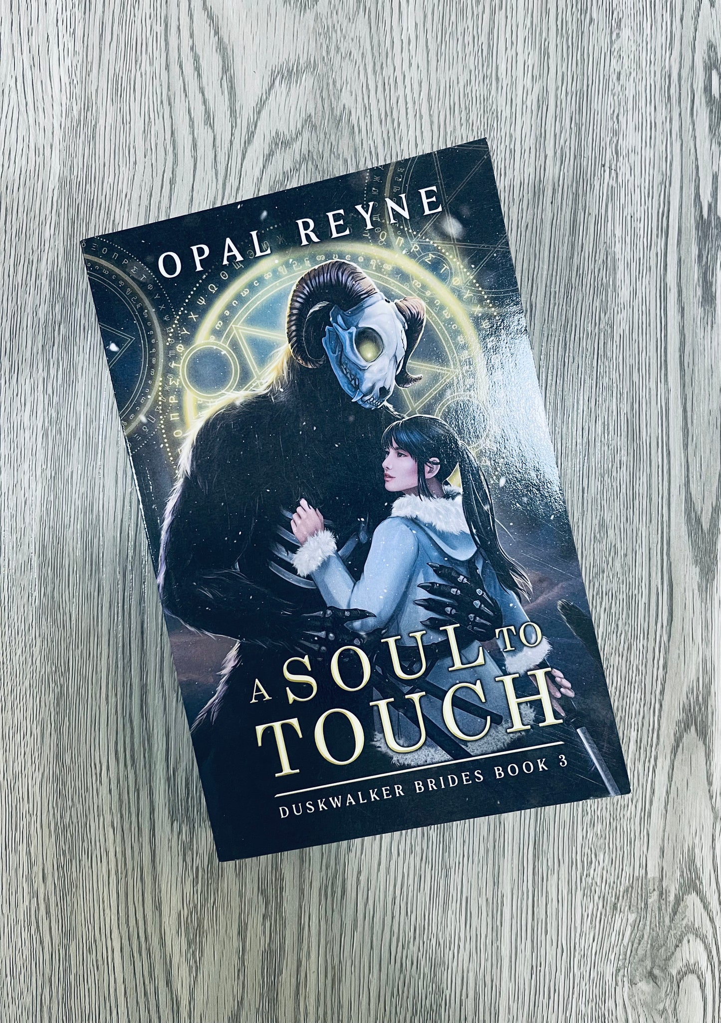 A Soul to Touch (Dustwalker Brides #3) by Opal Reyne