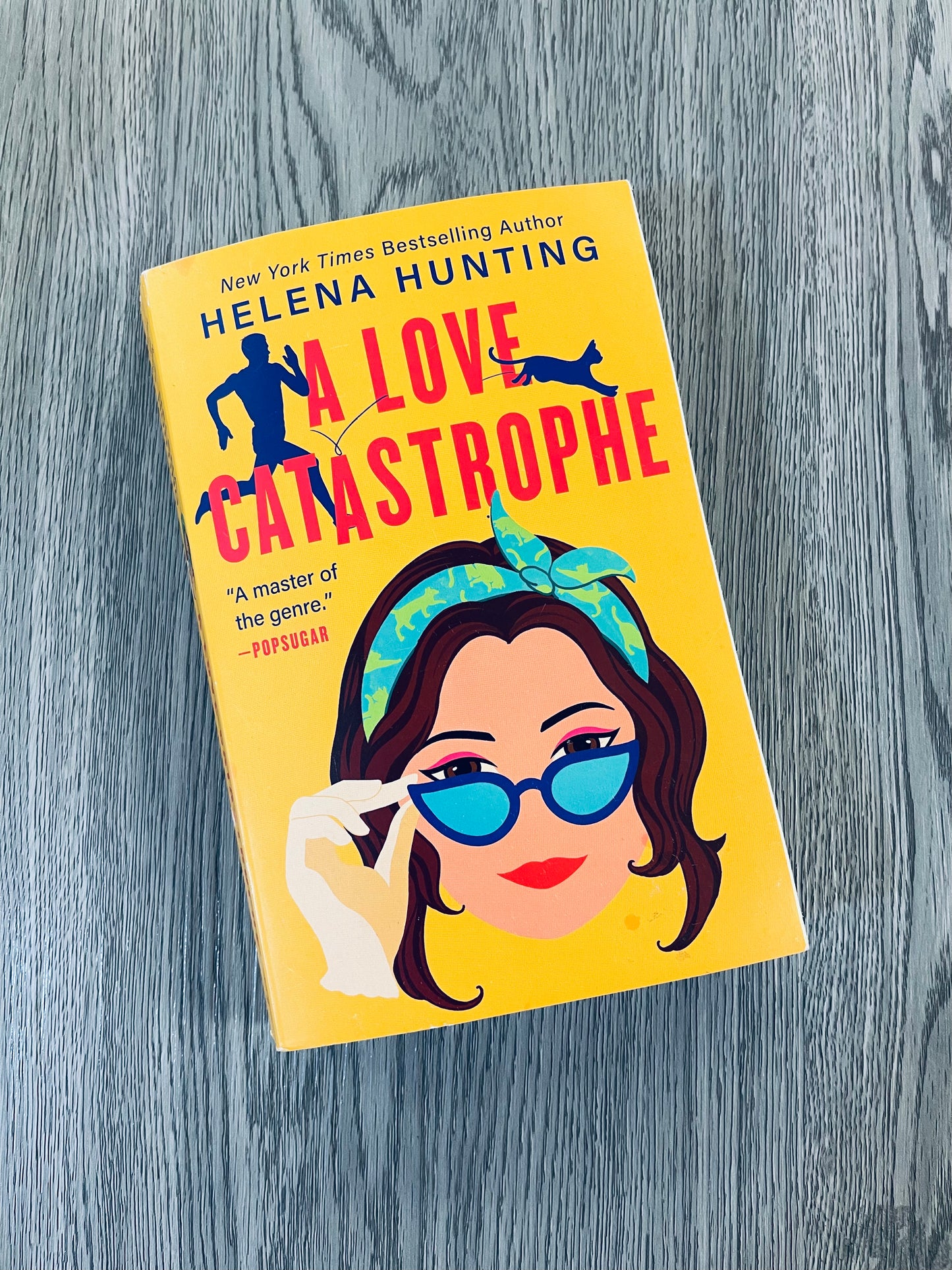 A Love Catastrophe by Helena Hunting