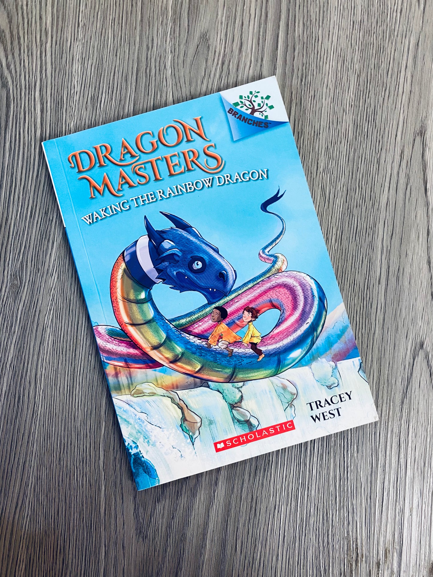 Dragon Masters by Tracey West