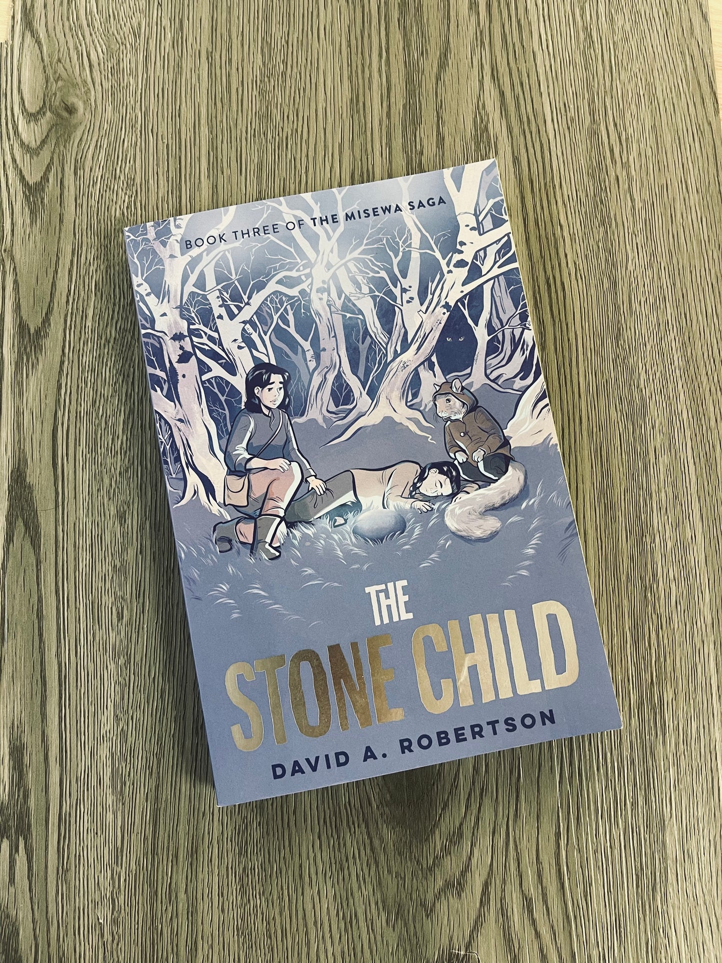 The Stone Child ( The Misewa Saga #3) by David A. Robertson-Used