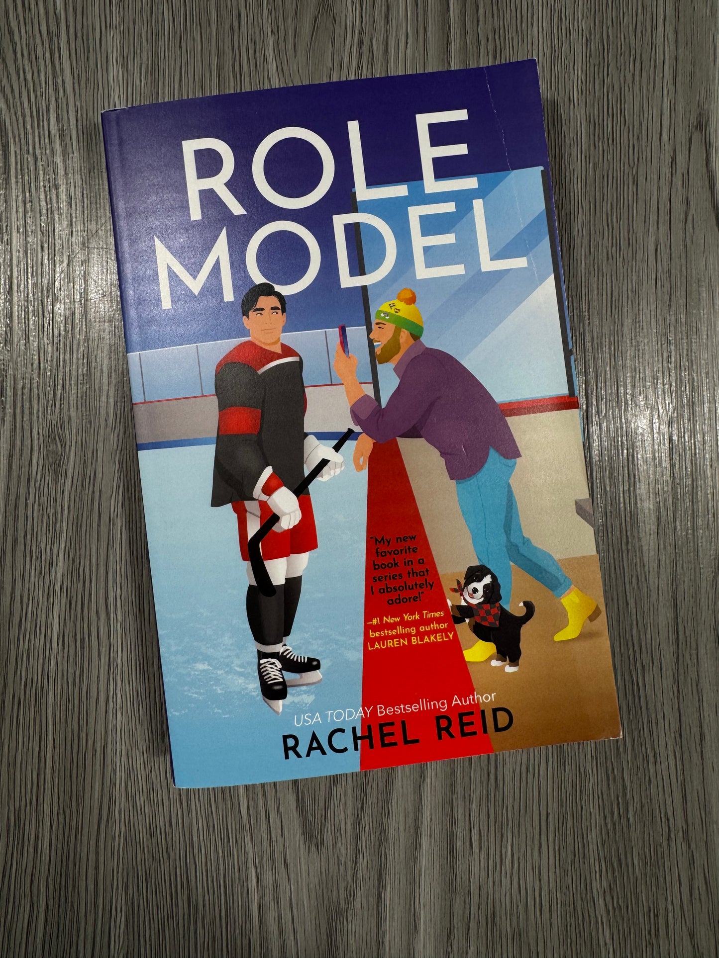 Role Model (Game Changers #5) by Rachel Reid -Used