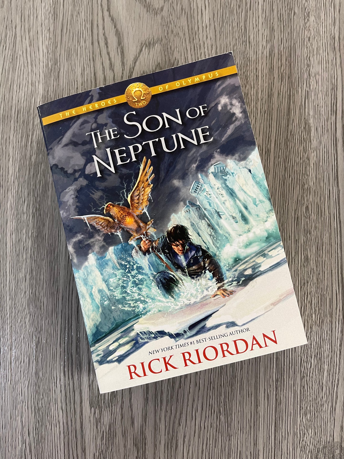 The Heroes of Olympus by Rick Riordan