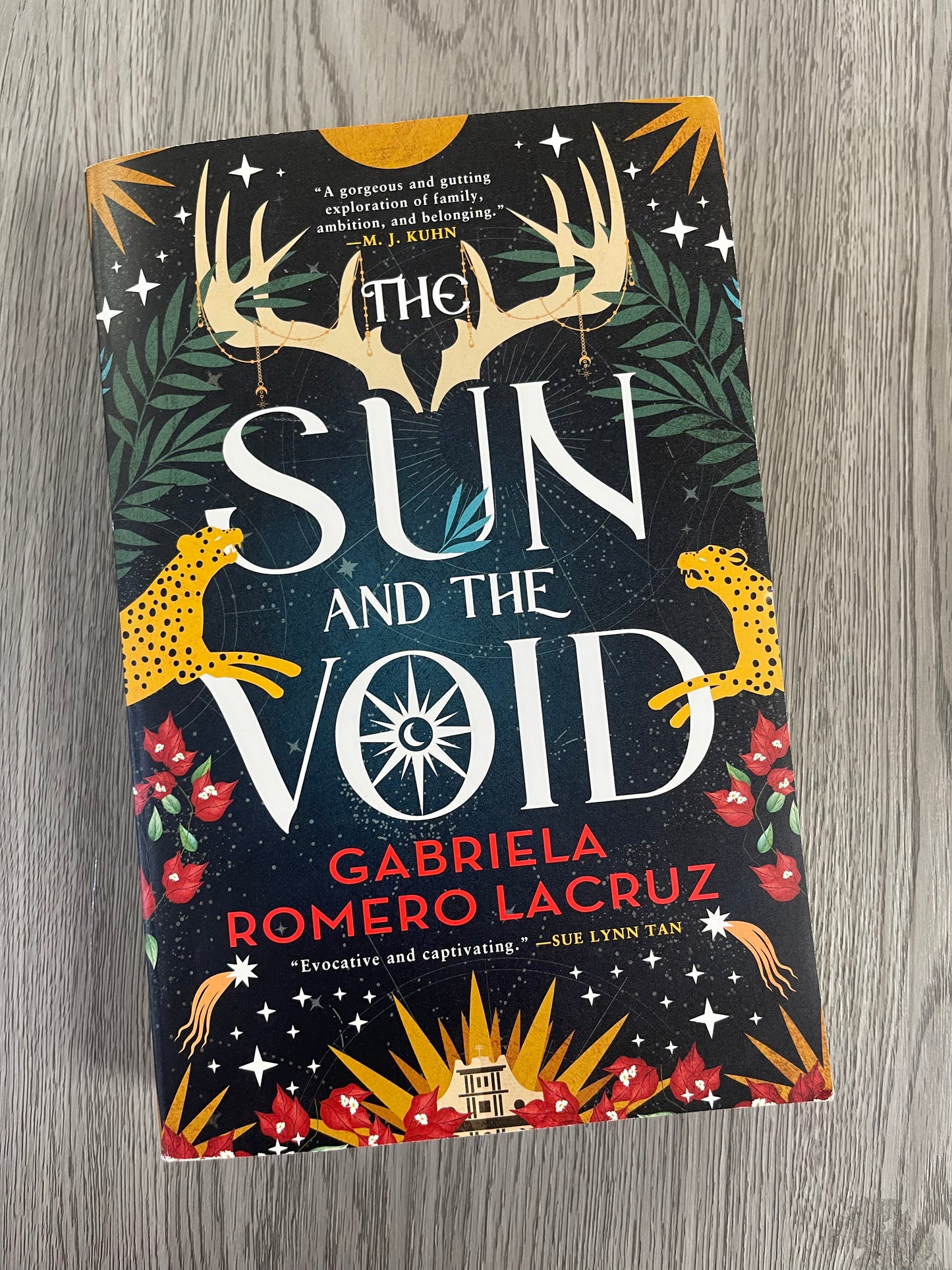 The Sun and the Void (The Warring Gods #1) by Gabriela Romero LaCruz