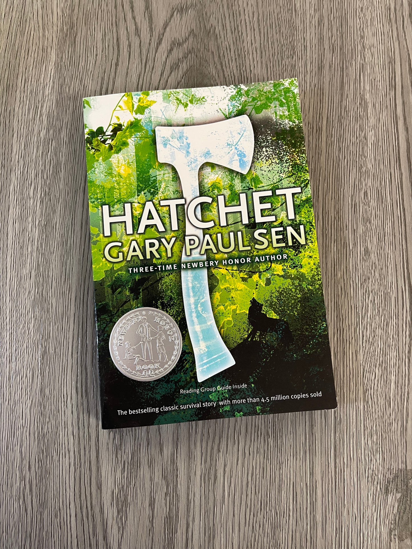 Hatchet by Gary Paulsen