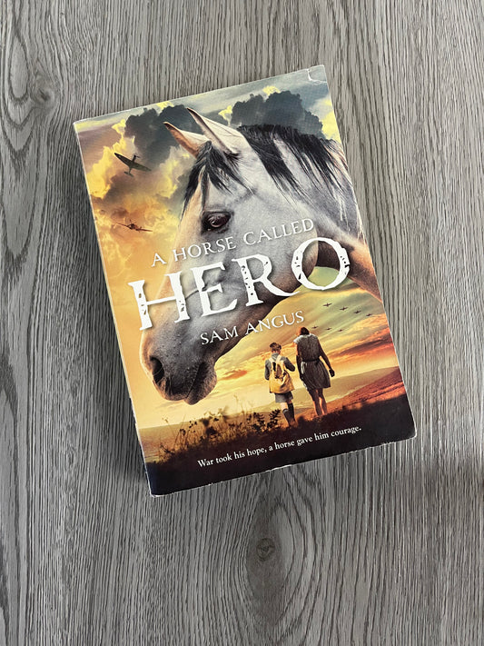 A Horse called Hero by Sam Angus