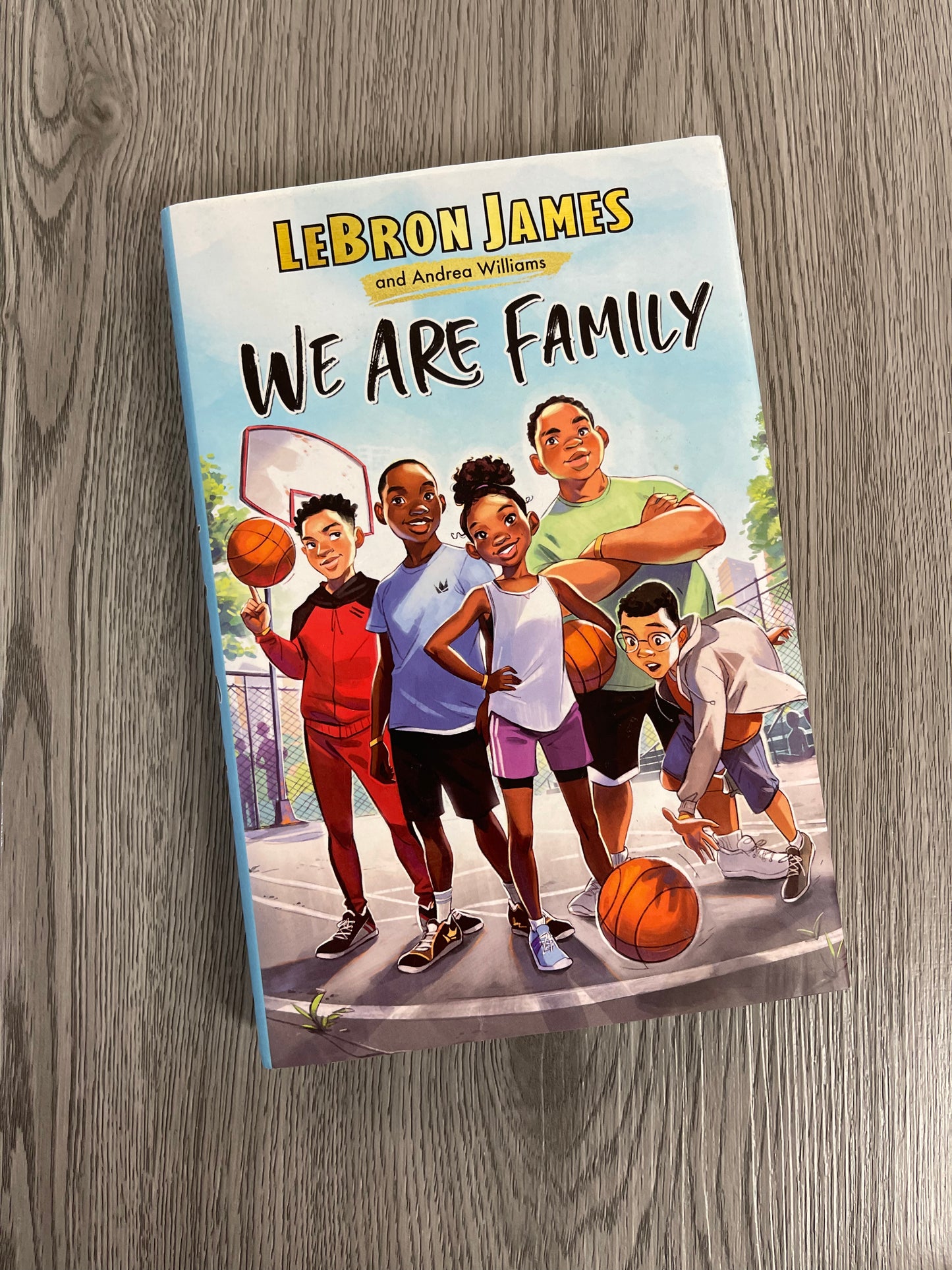 We are Family by Lebron James