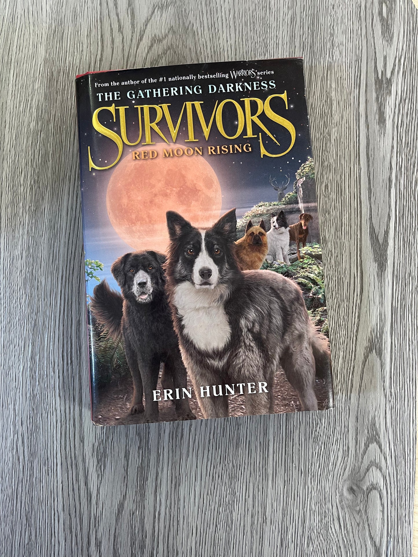 Survivors by Erin Hunter