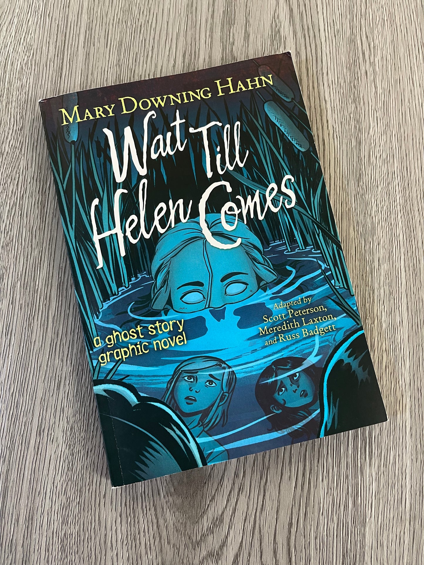 Wait till Helen Comes: A Ghost story graphic novel by Mary Downing Hahn