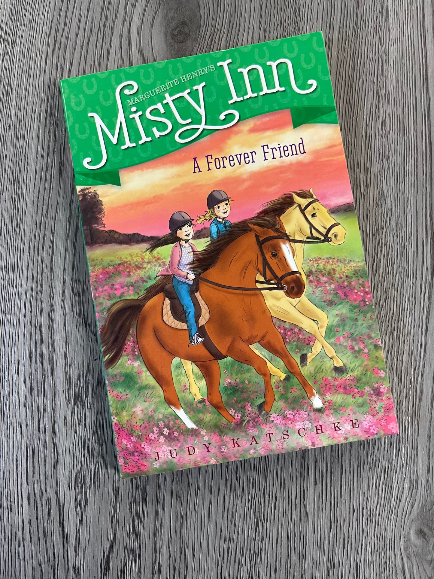 Marguerite Henry Misty Inn Series by Judy Katschke