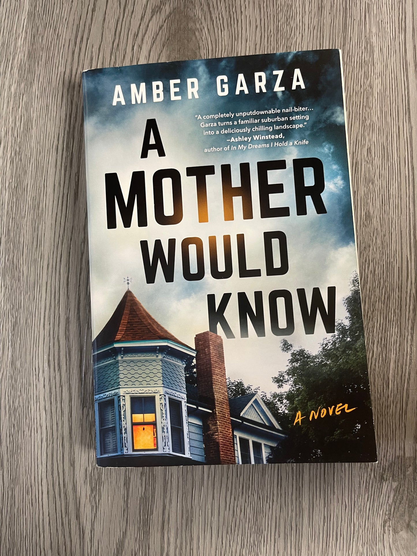 A Mother Would Know by Amber Garza