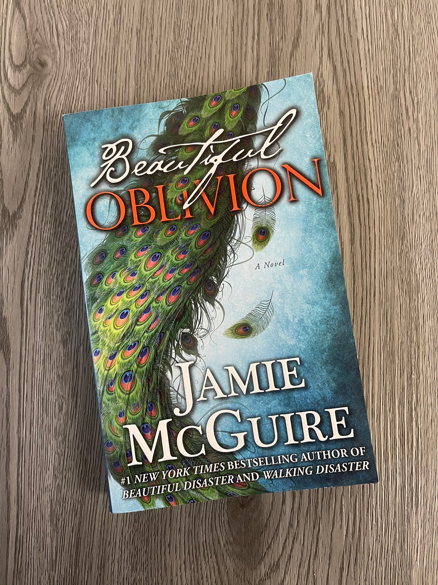 Beautiful Oblivion (The Maddox Brothers #1) by  Jamie McGuire-Used