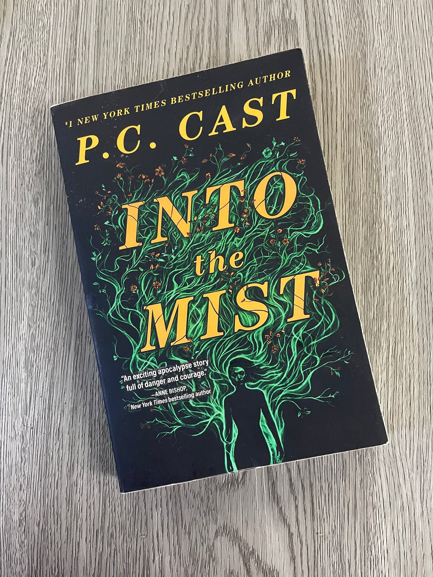 Into the Mist ( Into the Mist #1) by P.C Cast