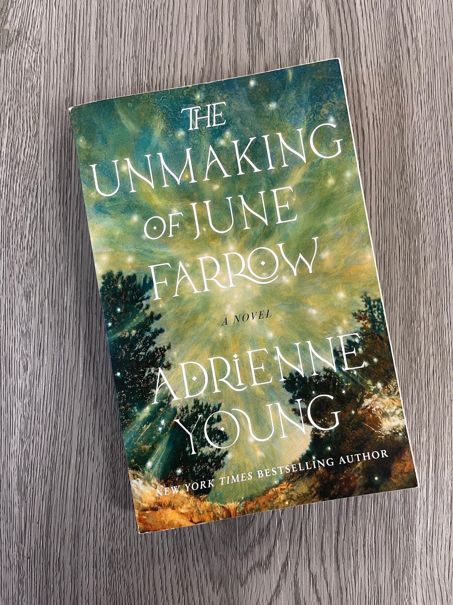 The Unmaking of June Farrow by Adrienne Young