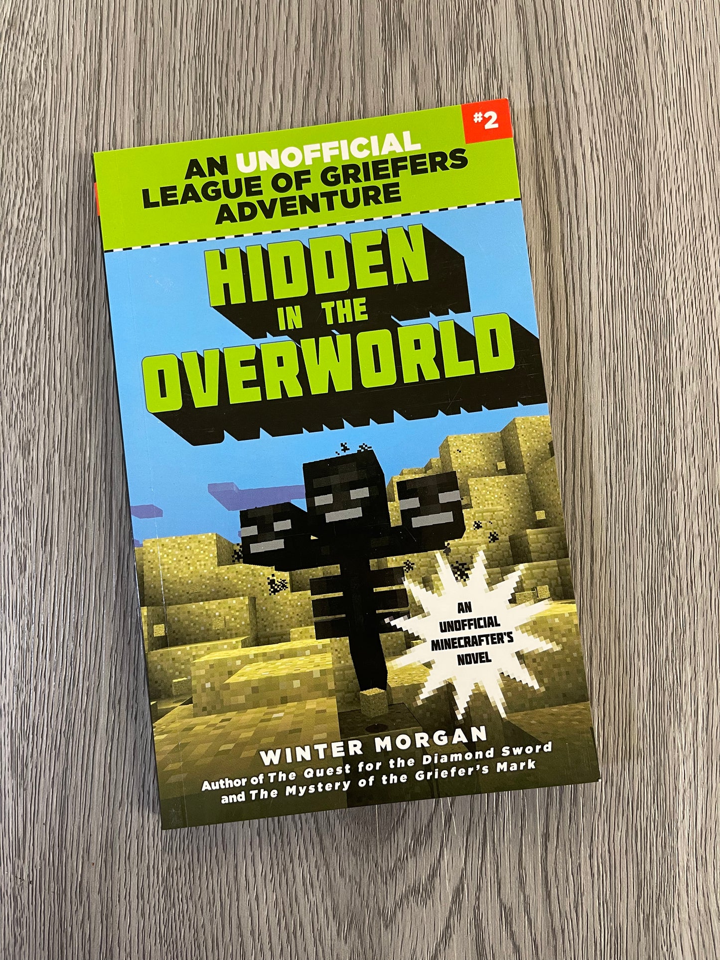 An Unofficial league of Griefers Adventure ( Minecrafters Novel Series)  by Winter Morgan