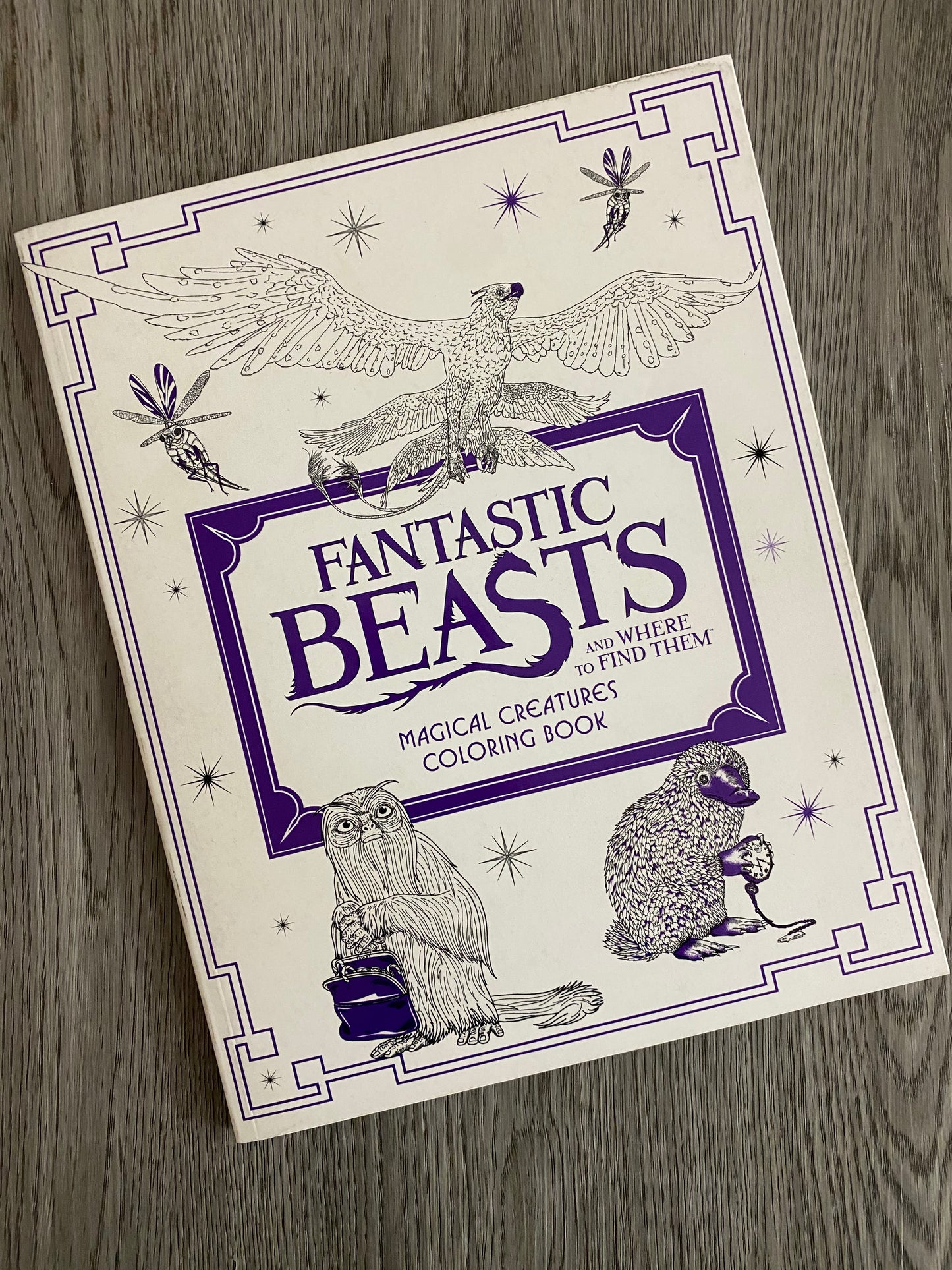 Coloring Book-The Fantastic Beast