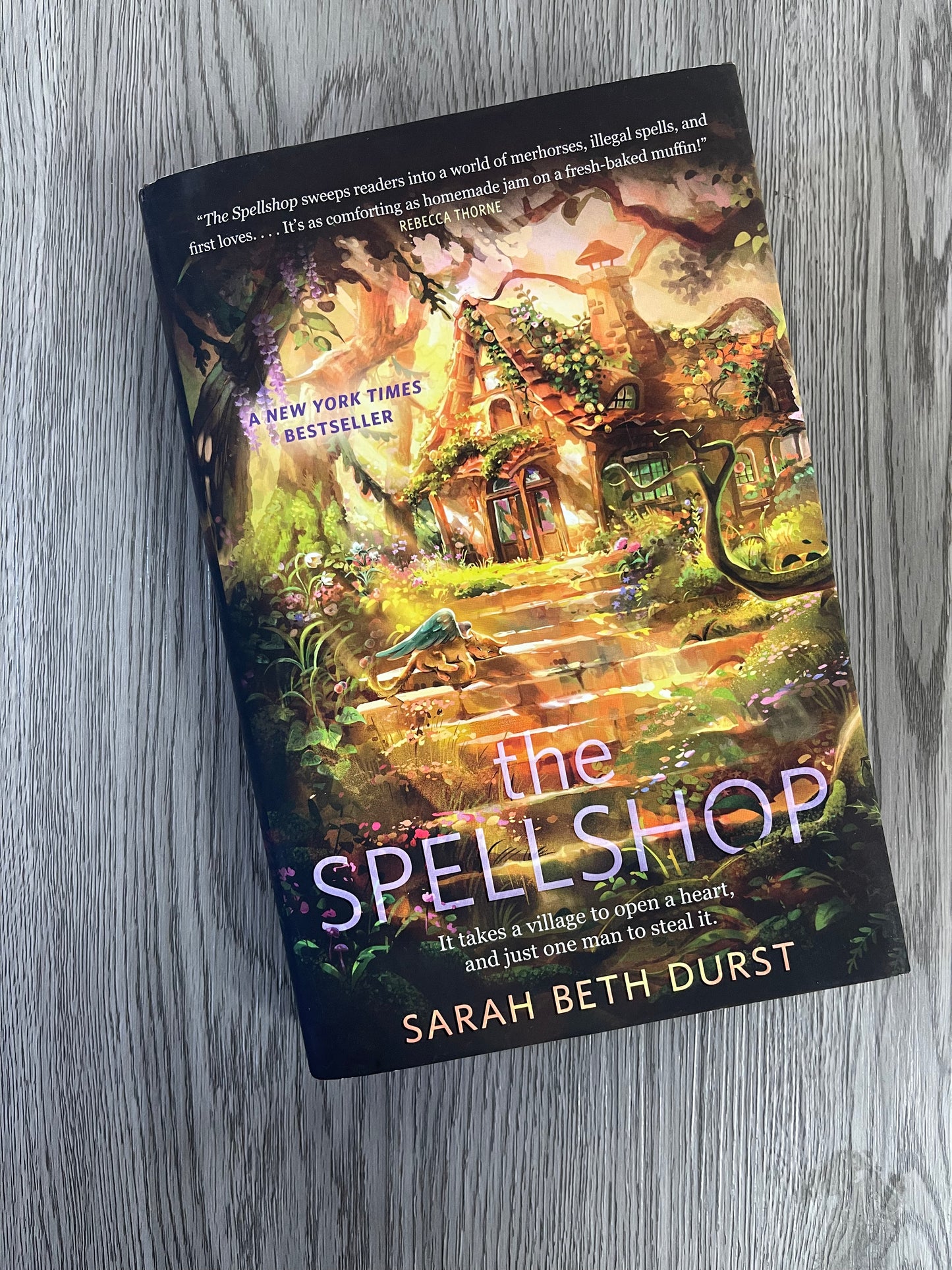 The Spellshop by Sarah Beth Durst-Used
