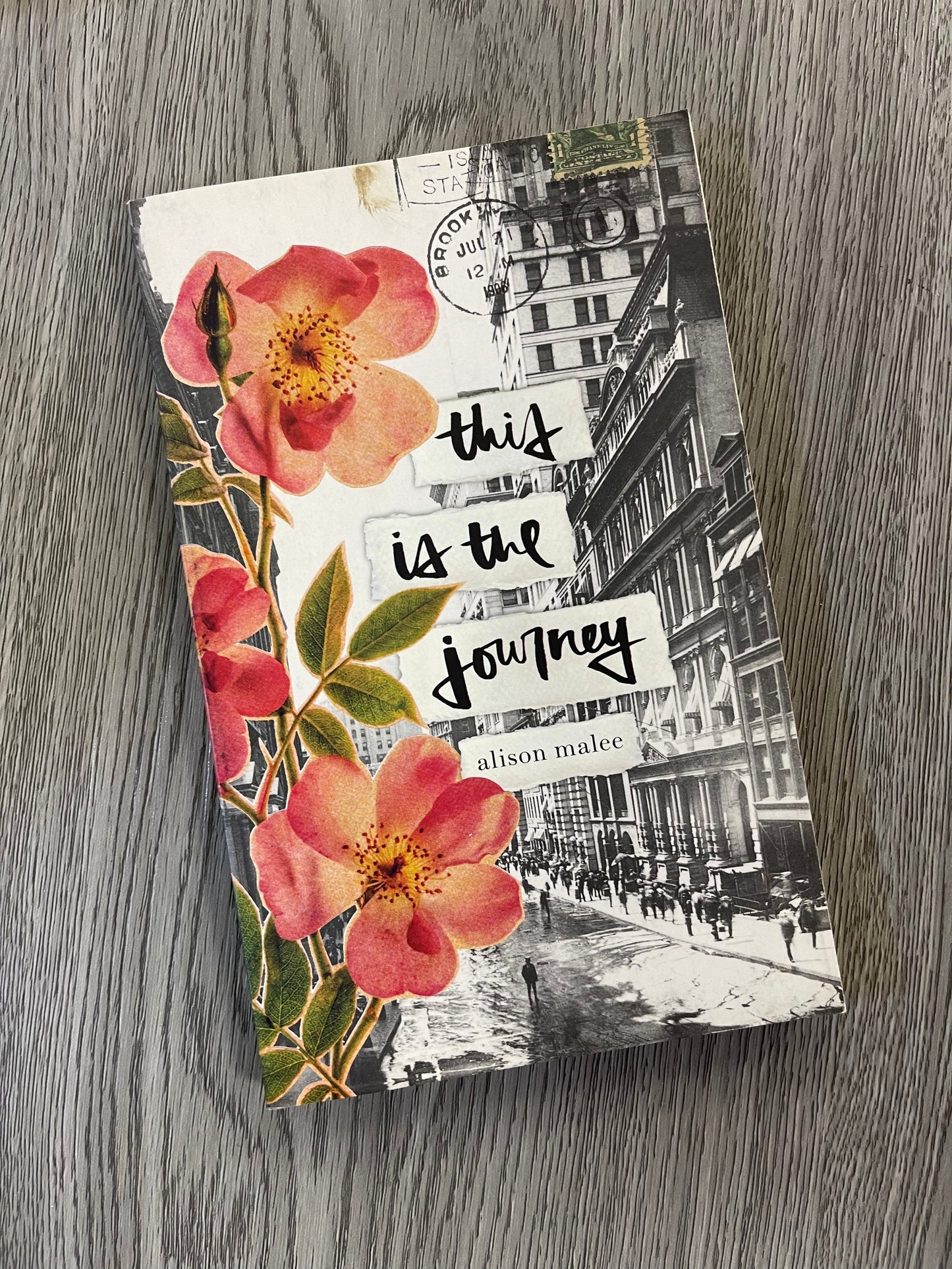 This is the Journey by Alison Malee-Used