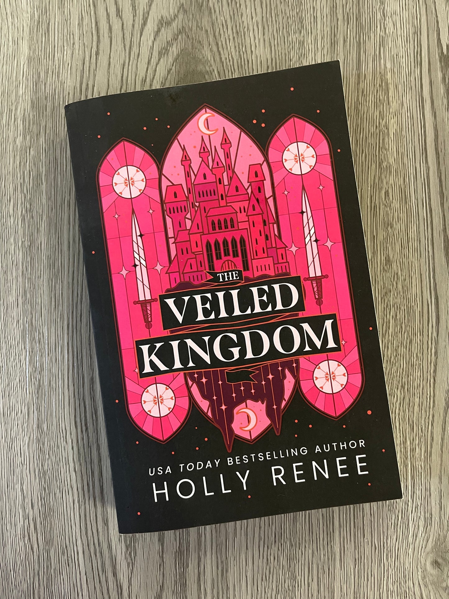 The Veiled Kingdom (The Veiled Kingdom #1)  by Holly Renee-Used