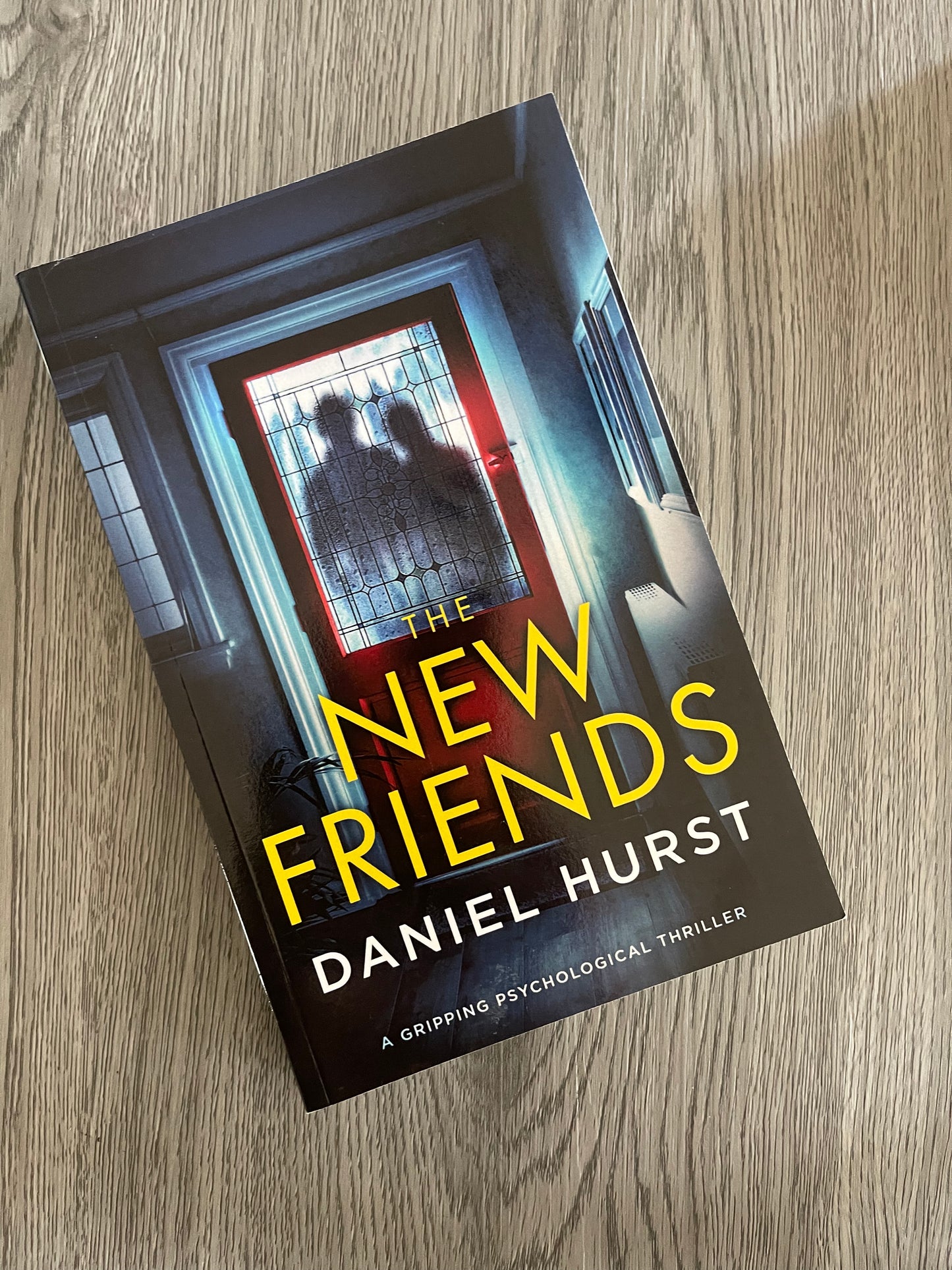 The New Friends by Daniel Hurst-Used