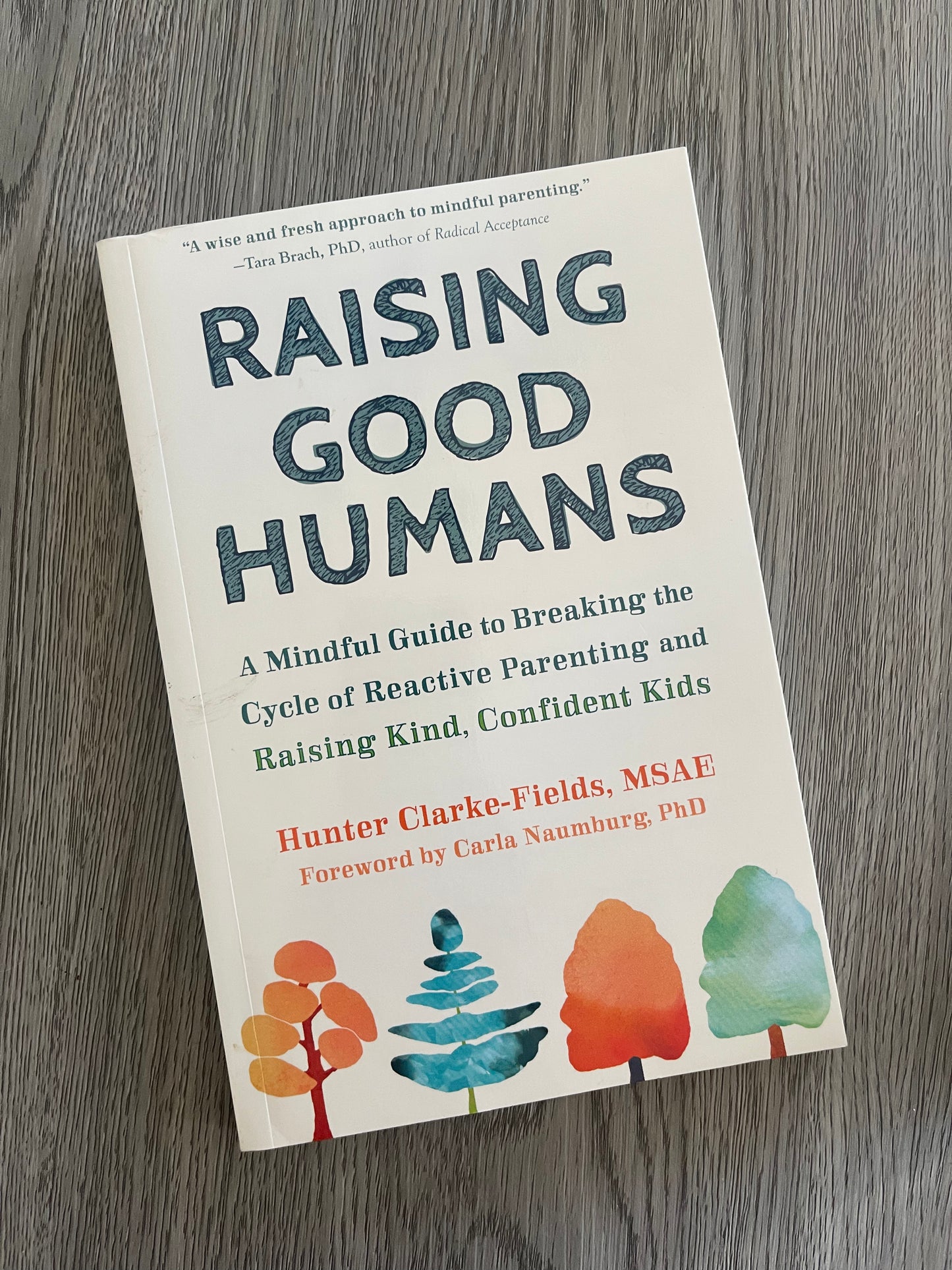 Raising Good Humans: A Mindful Guide to Breaking the Cycle of Reactive Parenting and Raising Kind, Confident Kids  by Hunter Clarke Fields-Used
