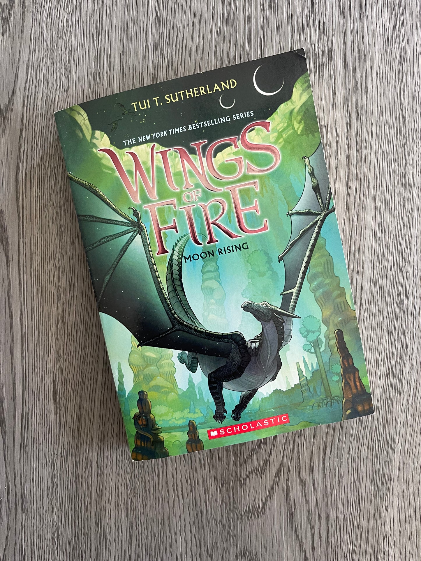 Wings of Fire by Tui T. Sutherland-Used