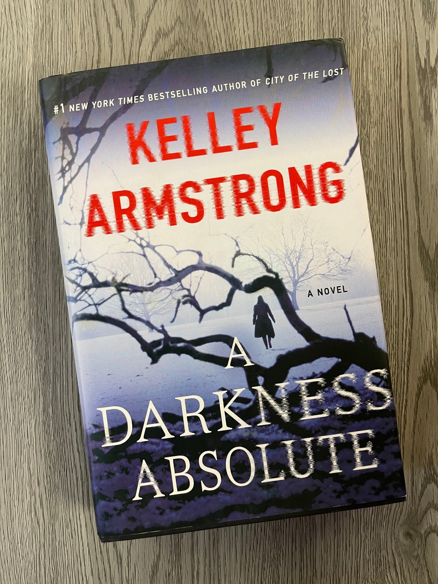 A Darkness Absolute (Rockton/Casey Duncan #2 ) by Kelley Armstrong-Hardcover Used