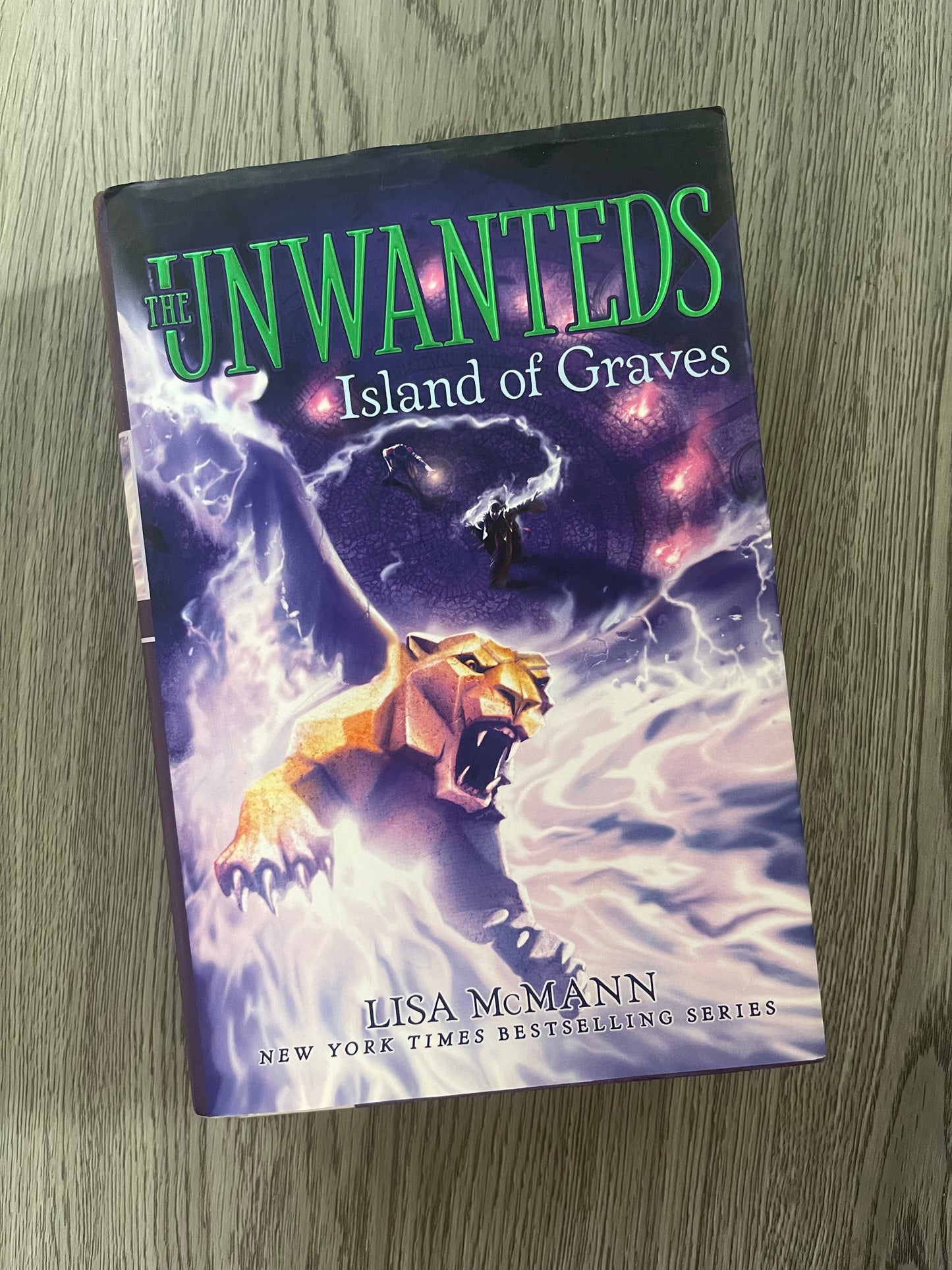The Unwanteds by Lisa McMann-Used