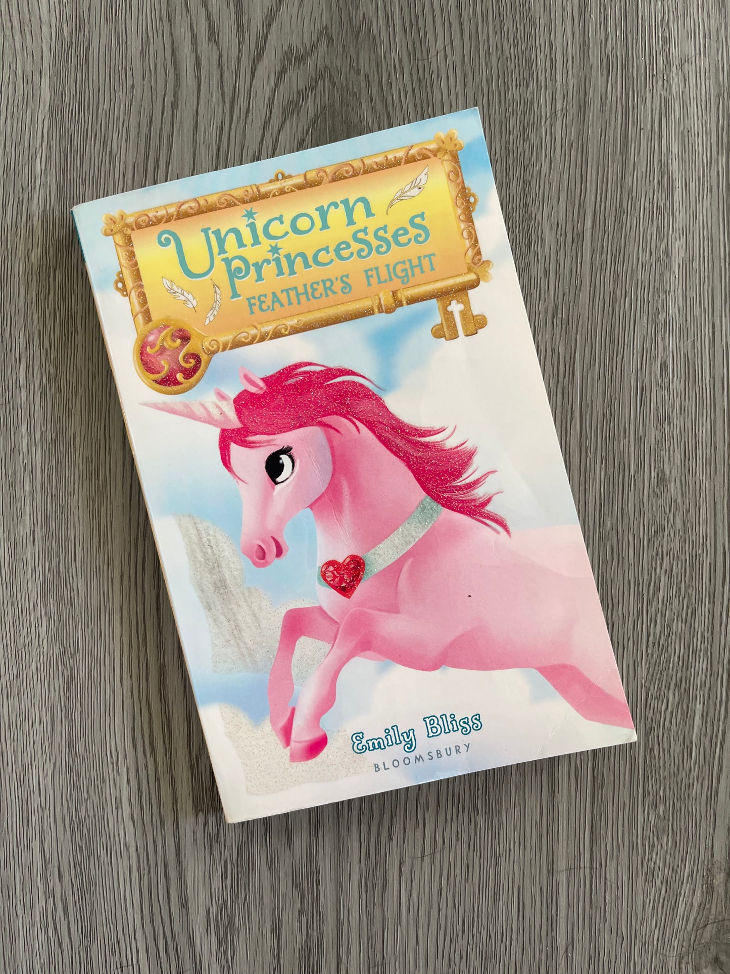Unicorn Princess Series by Emily Bliss-Used