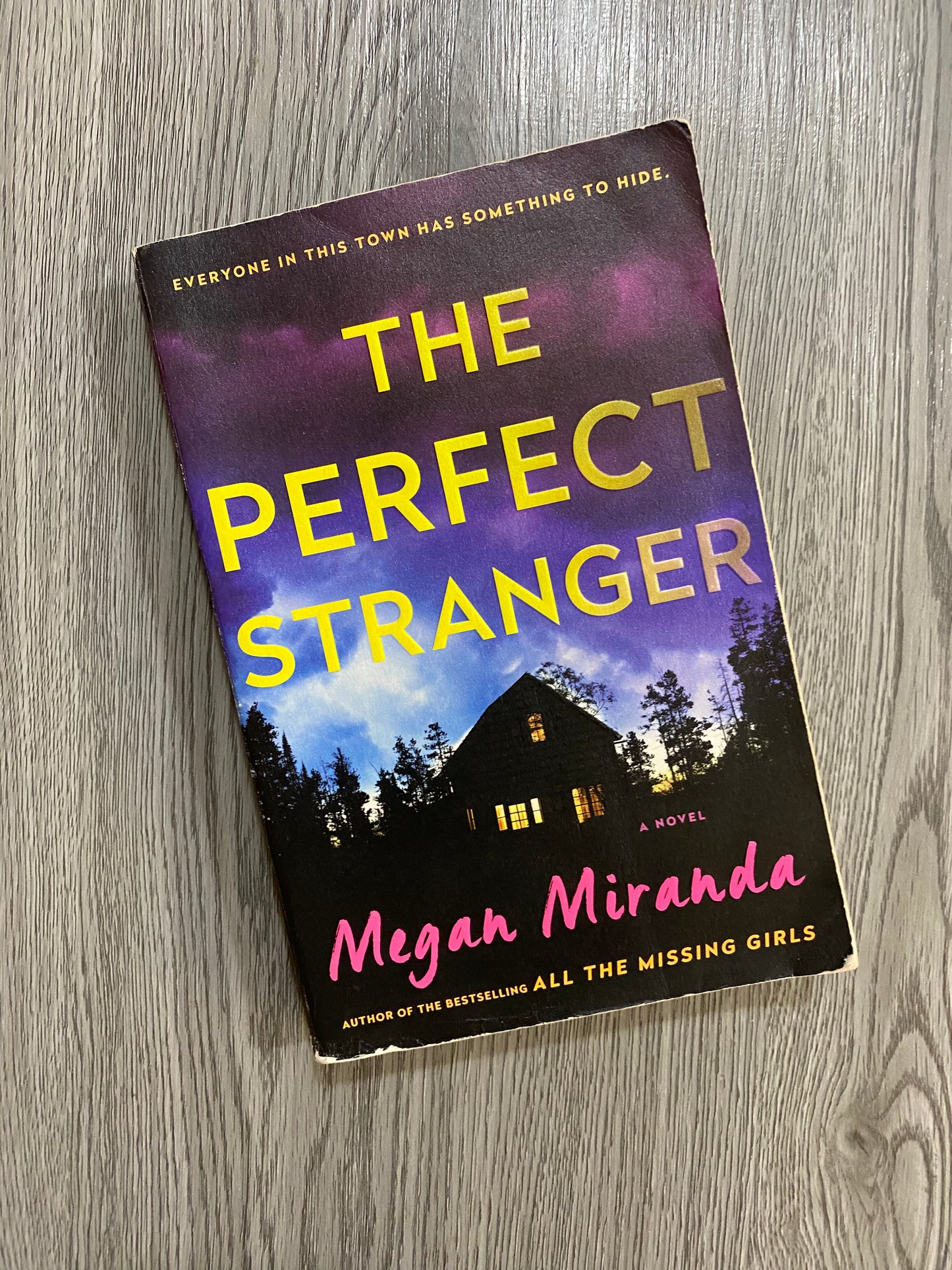 The Perfect Stranger by Megan Miranda