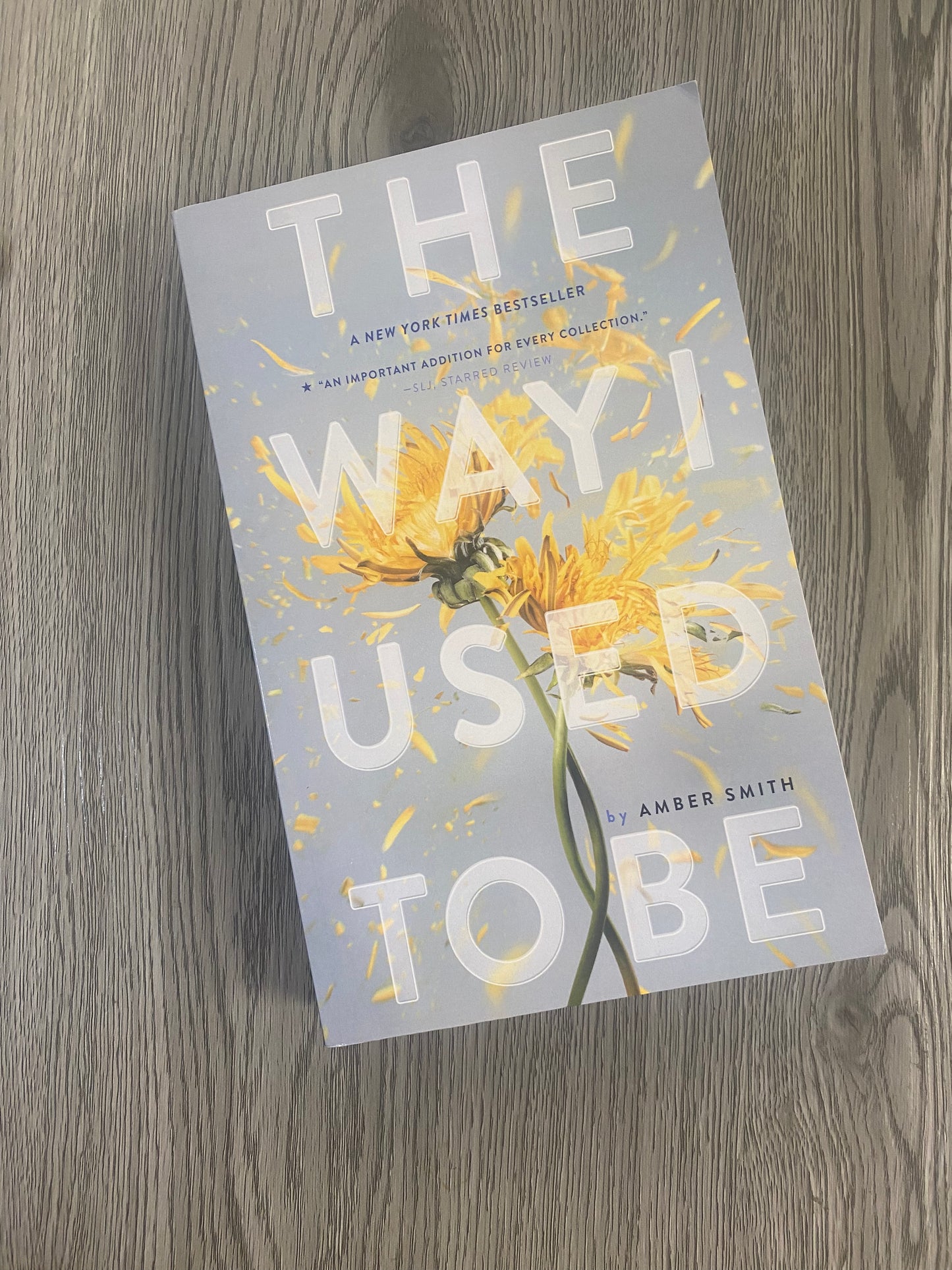 The Way I Used To Be by Amber Smith