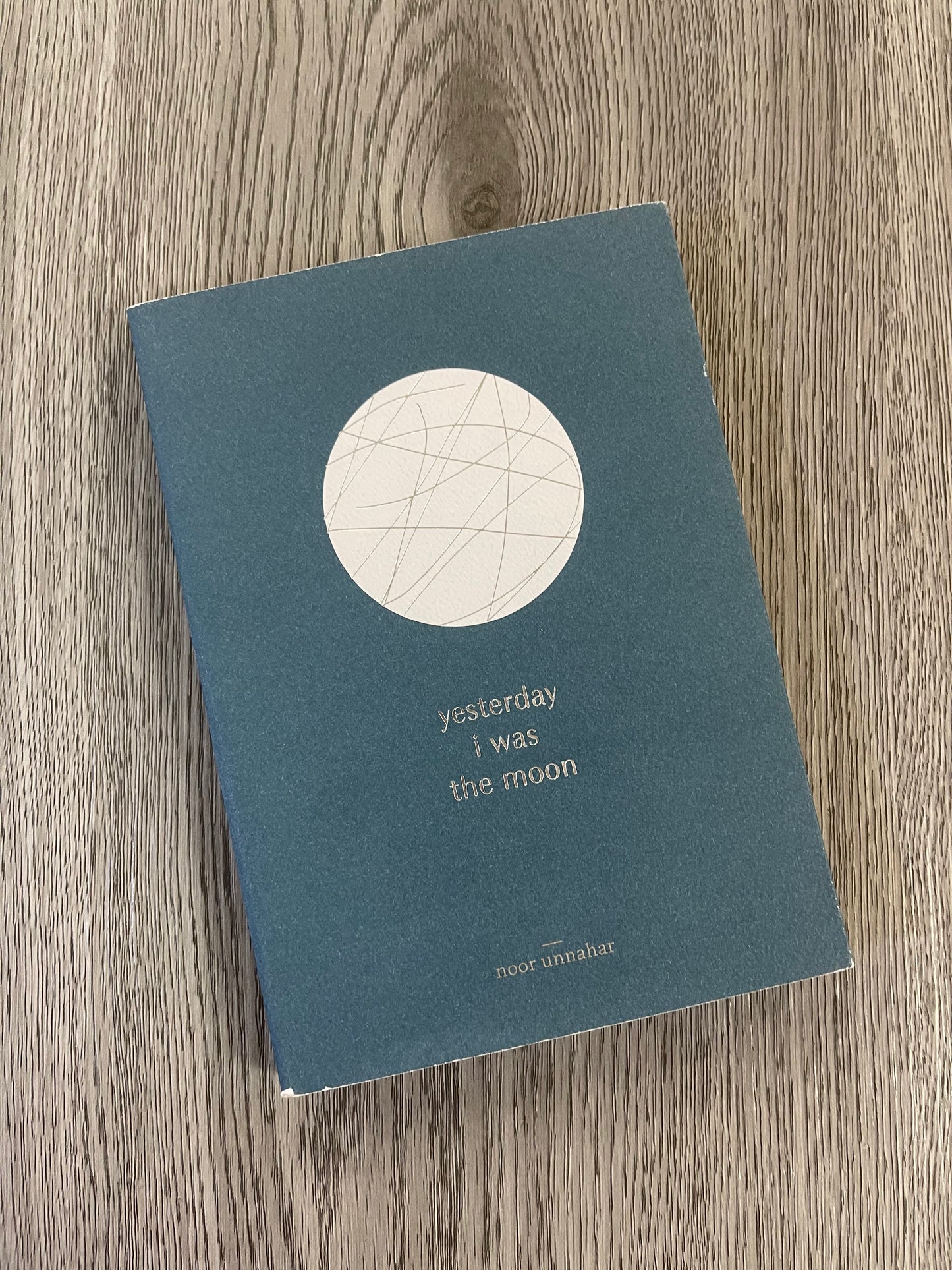 Yesterday I Was The Moon-Used