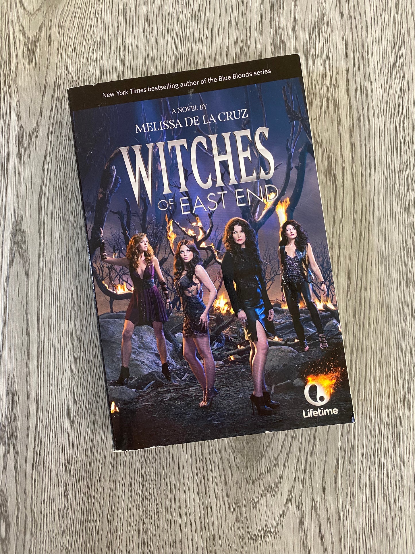 Witches of East End (The Beauchamp Family #1) by Melissa De La Cruz