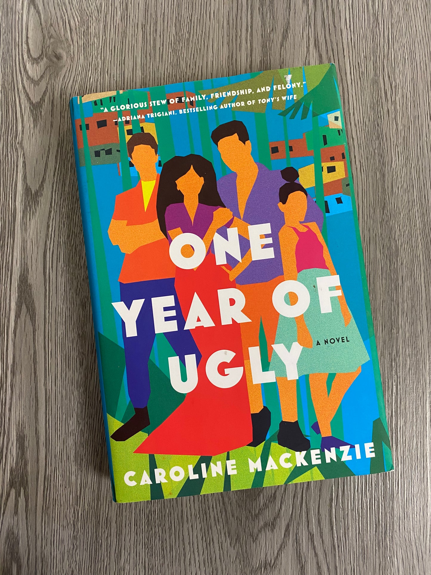 One Year of Ugly by Caroline Mackenzie-Hardcover