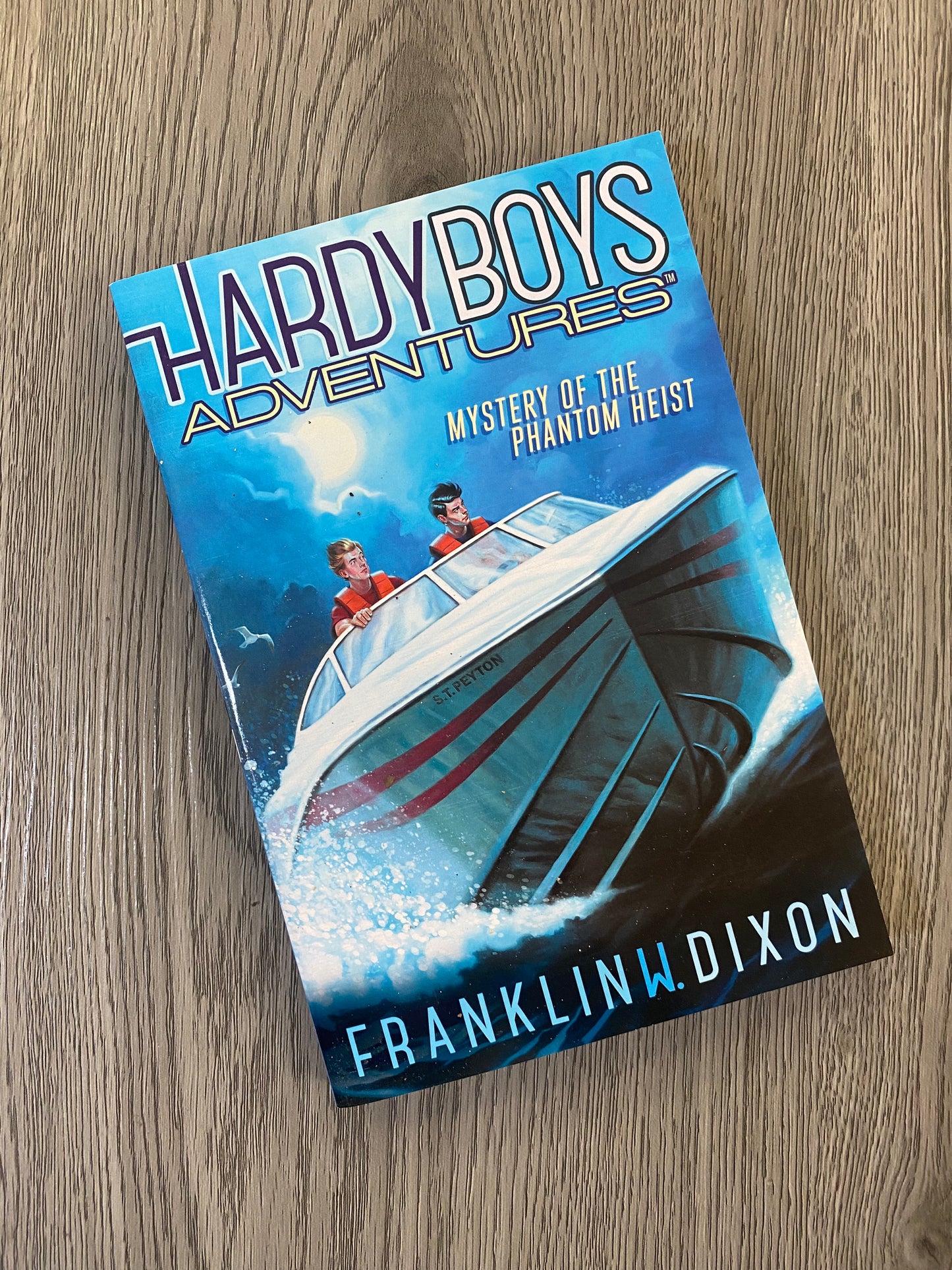 The Hardy Boys Adventure Series by Franklin W. Dixon